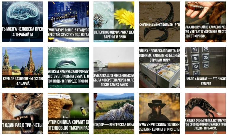 Невероятные открытия: удивительные факты обо всем, что нас окружает! Невероятные открытия: удивительные факты обо всем, что нас окружает!