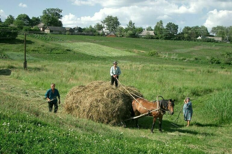 В ЛДПР предлагают увеличить бюджетную поддержку сельских территорий