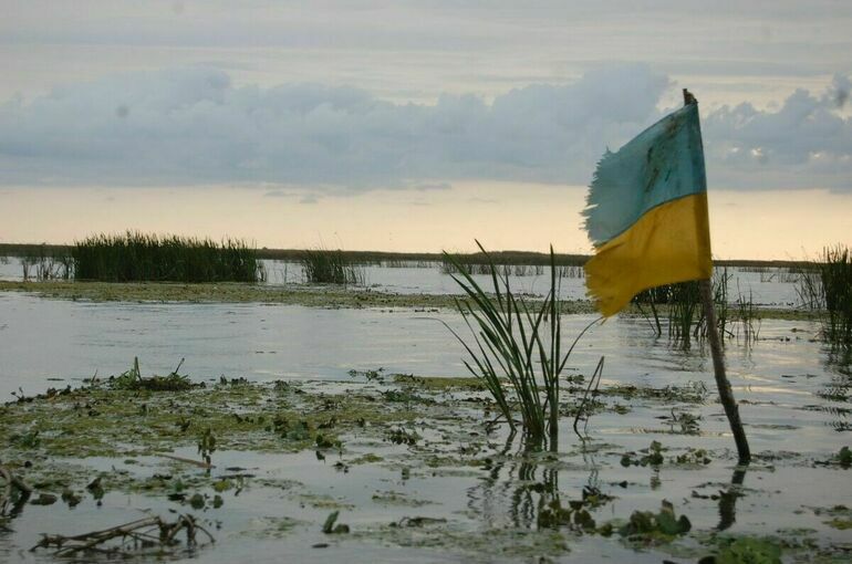 ВСУ за сутки потеряли больше 300 солдат и семь танков в Курской области