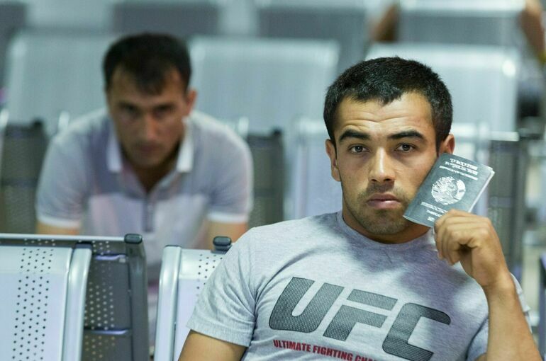 Почему мигрантам не место среди медиков и педагогов Почему мигрантам не место среди медиков и педагогов