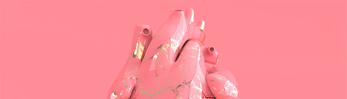 Растительный белок позволяет снизить риск сердечно-сосудистых заболеваний