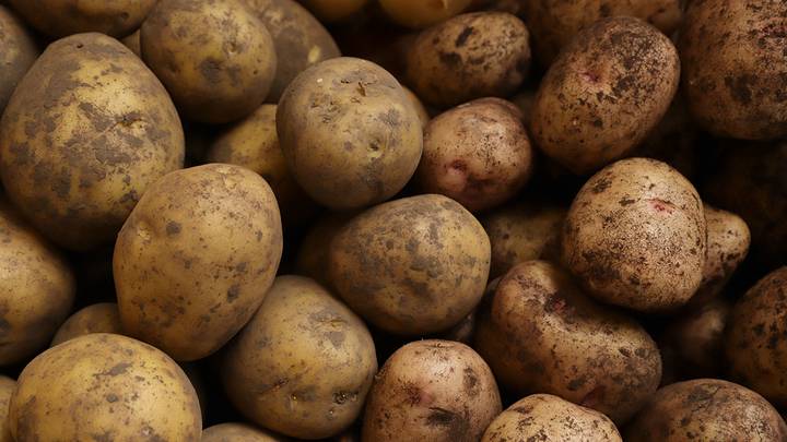 В Россию могут начать поставлять картофель из дружественных стран