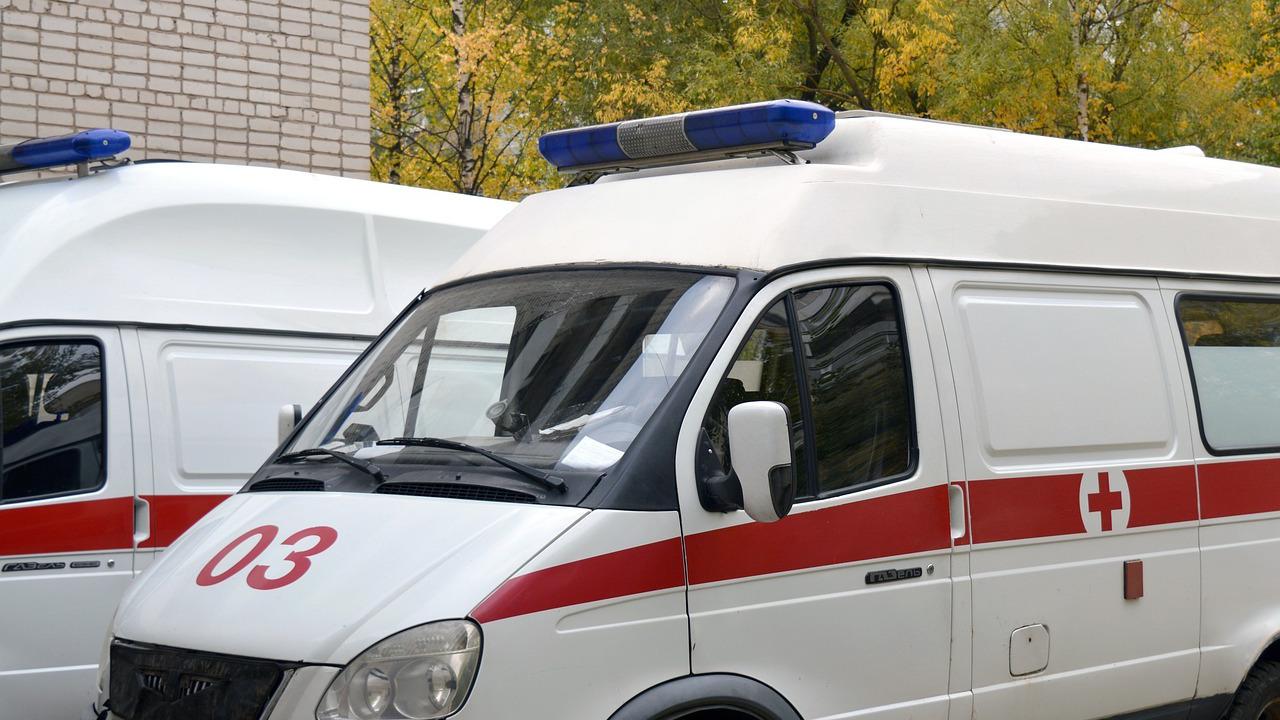 У 84-летнего режиссера Геральда Бежанова подозревают инсульт