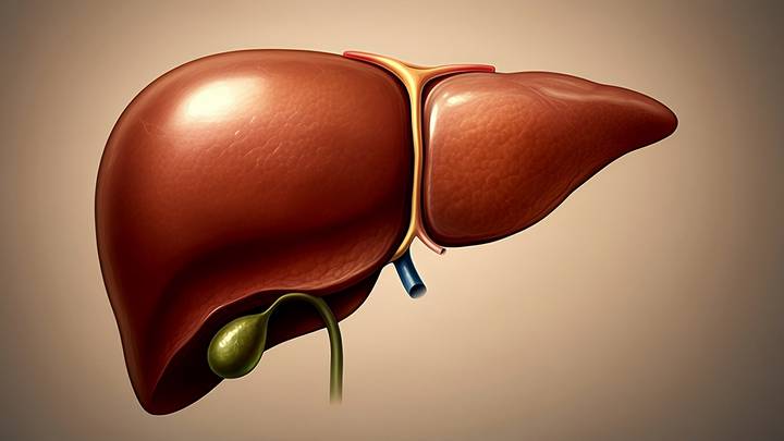 Ученые нашли способ предсказать заболевание печени за 16 лет до первых симптомов