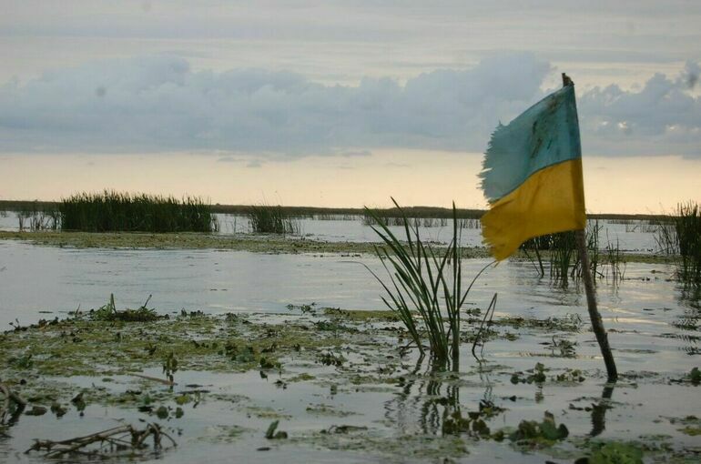 На Украине сменят министра обороны