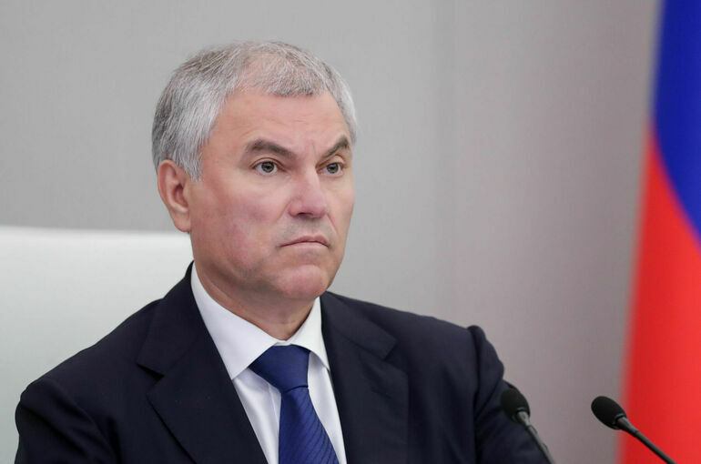 Володин: Приобретенного гражданства смогут лишить по 80 основаниям