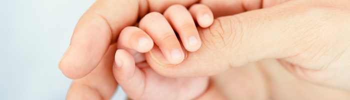 Стволовые клетки предотвращают последствия поражения мозга у новорожденных Стволовые клетки предотвращают последствия поражения мозга у новорожденных