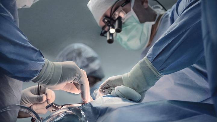 Хирурги во Франции по ошибке удалили мужчине здоровую почку Хирурги во Франции по ошибке удалили мужчине здоровую почку