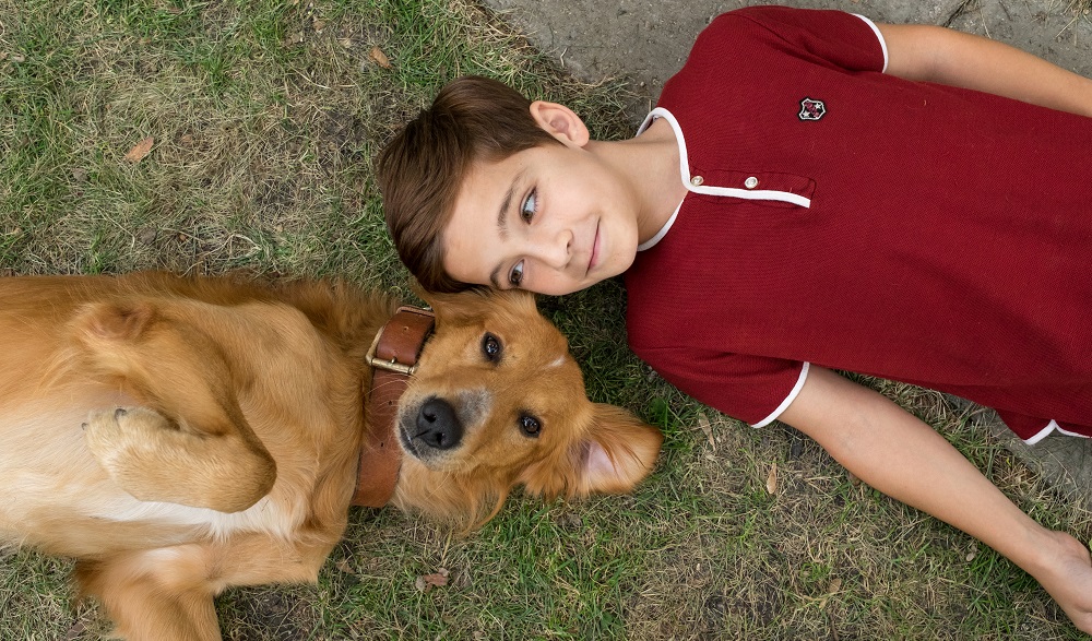 Как присутствие собаки в доме влияет на здоровье детей Как присутствие собаки в доме влияет на здоровье детей