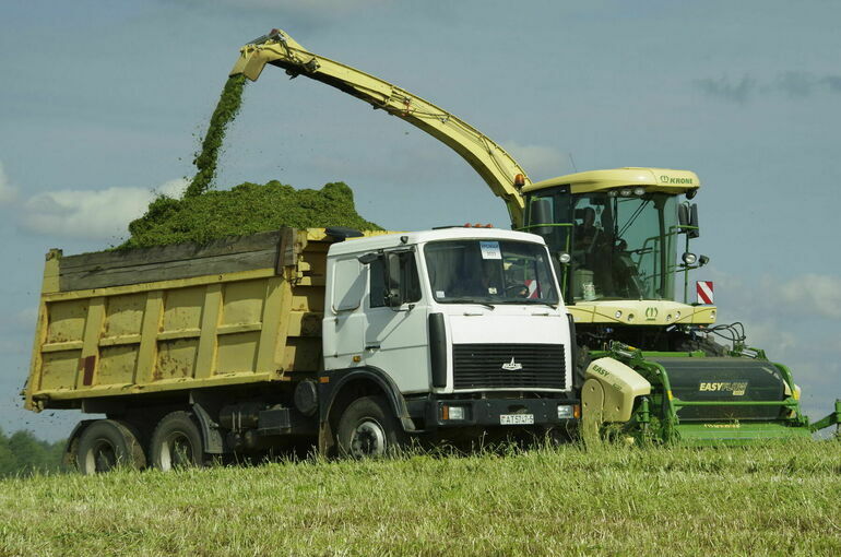 Порядок выделения субсидий для аграриев предложили актуализировать Порядок выделения субсидий для аграриев предложили актуализировать