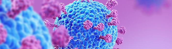 Сообщения о новом коронавирусе, обнаруженном в Бразилии у летучих мышей, на контроле Роспотребнадзора Сообщения о новом коронавирусе, обнаруженном в Бразилии у летучих мышей, на контроле Роспотребнадзора