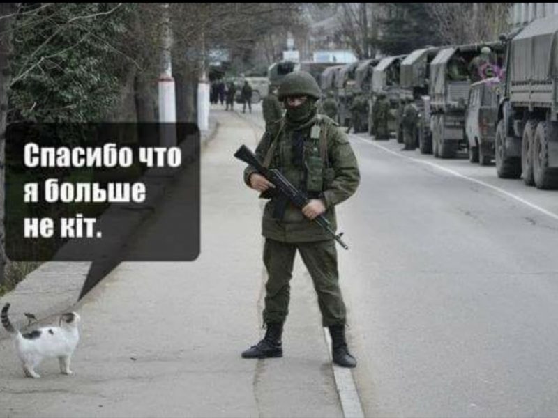 «Запретим кошкам мяукать»: на Украине решили «дерусифицировать» котов «Запретим кошкам мяукать»: на Украине решили «дерусифицировать» котов