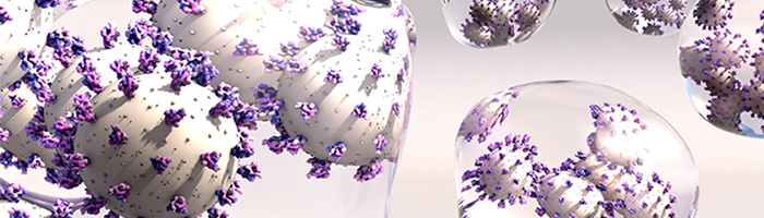 Канада утратила статус страны, победившей корь Канада утратила статус страны, победившей корь