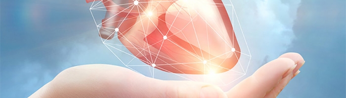 «Кардиоэлектроника» и «Испытательный институт медицинской техники» создадут единую систему стандартов для имплантатов «Кардиоэлектроника» и «Испытательный институт медицинской техники» создадут единую систему стандартов для имплантатов