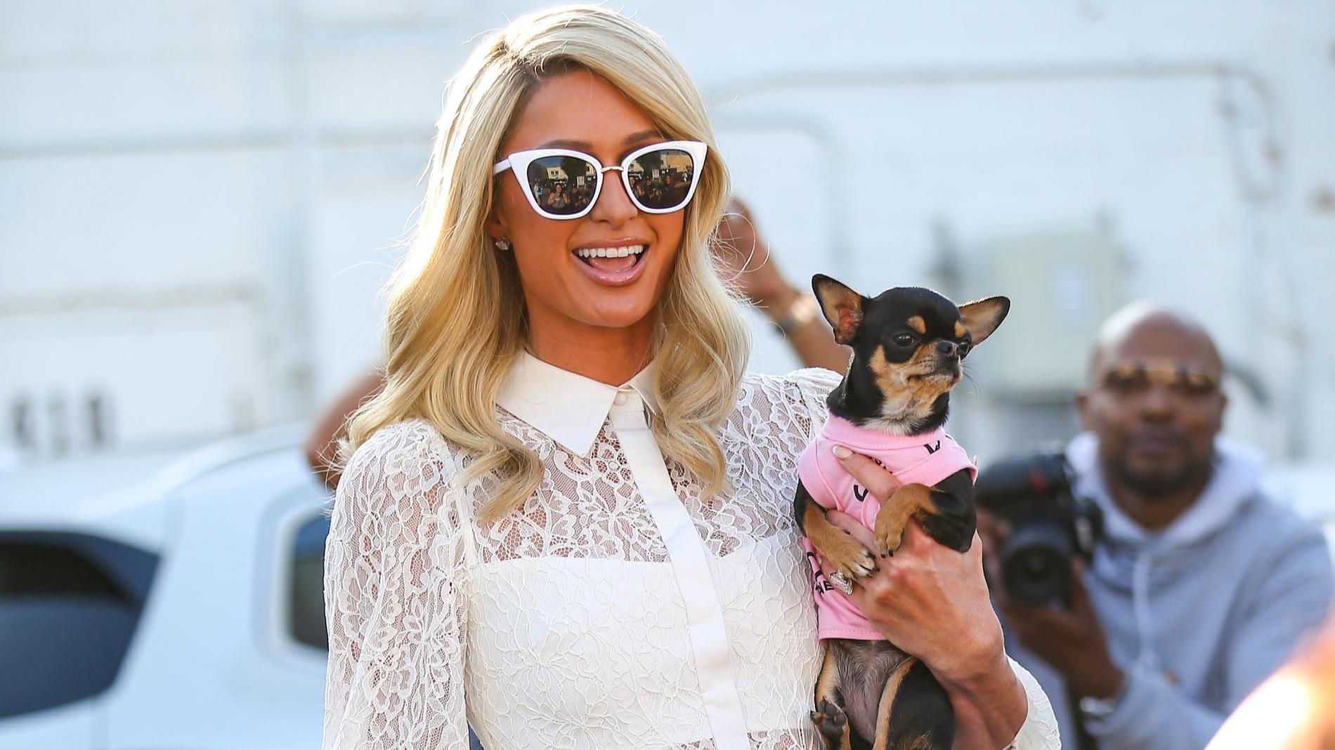 Популярный рок-музыкант раскрыл шокирующие подробности бурной молодости Пэрис Хилтон: «У Популярный рок-музыкант раскрыл шокирующие подробности бурной молодости Пэрис Хилтон: «У нее в сумочке была куча кокаина»