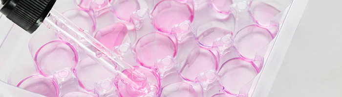 В России завершились доклинические испытания первого иммуноинженерного TRC‑препарата против рака молочной В России завершились доклинические испытания первого иммуноинженерного TRC‑препарата против рака молочной железы