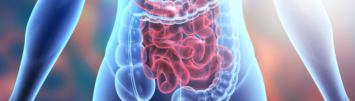 Аптечный итог каникул: спрос на сорбенты в начале января 2026 года на 20% выше, чем в «непраздничный период»
