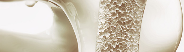 Российские ученые нашли оптимальный метод создания материалов для восстановления костной ткани Российские ученые нашли оптимальный метод создания материалов для восстановления костной ткани