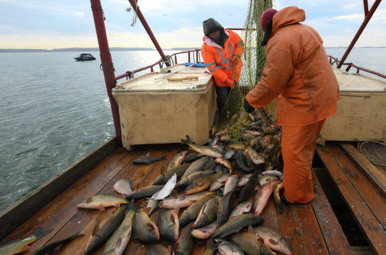 Что будет с судами рыбной отрасли старше сорока лет Что будет с судами рыбной отрасли старше сорока лет