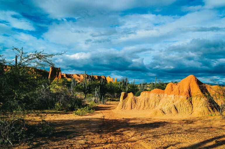 Африка говорит Парижу не «мерси», а «адье»!
