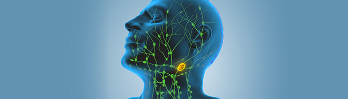 FDA одобрило новую схему лечения лимфомы Ходжкина III и IV стадии FDA одобрило новую схему лечения лимфомы Ходжкина III и IV стадии