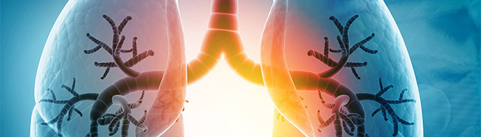 Ростех выводит на рынок аппарат ИВЛ экспертного класса для спасения новорожденных «Мобивент Ростех выводит на рынок аппарат ИВЛ экспертного класса для спасения новорожденных «Мобивент Ультра»