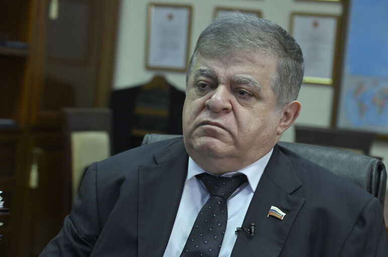 Сенатор Джабаров предложил фон дер Ляйен отапливать дом хворостом Сенатор Джабаров предложил фон дер Ляйен отапливать дом хворостом