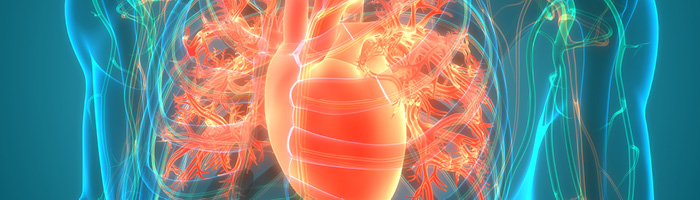 Кольцо‑трекер позволяет оценить состояние сердечно‑сосудистой системы Кольцо‑трекер позволяет оценить состояние сердечно‑сосудистой системы