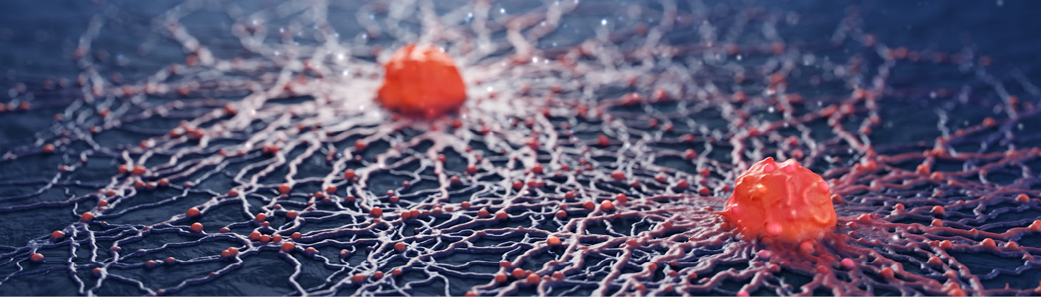 Обнаружен механизм защиты от метастазирования рака кожи в легкие