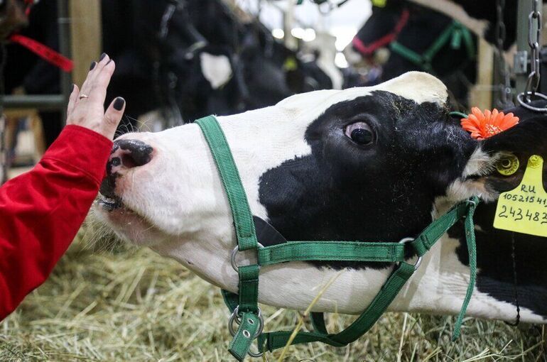 Совбез: Ближневосточный конфликт создает перспективы для агропроизводителей России Совбез: Ближневосточный конфликт создает перспективы для агропроизводителей России