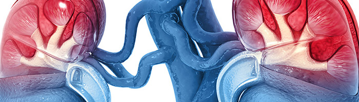 Ultomiris от AstraZeneca снижает содержание белка в моче при IgA‑нефропатии